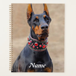 Schwarz und Tan Doberman Pinscher im Jewelkragen Planer
