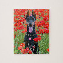 Schwarz und Tan Doberman Pinscher in Roten Blume