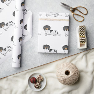 Schwarz und Tan Pied Langhaar-Dachshund-Muster Geschenkpapier