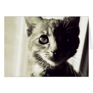 Schwarz und Weiß am Tag