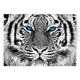 Schwarz und Weiß Blaue Augen wilde Tiger Gesicht