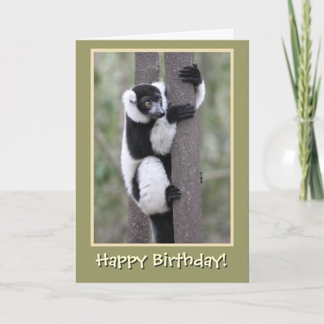 Schwarz und Weiß Lemur Happy Birthday Karte (Vorderseite)