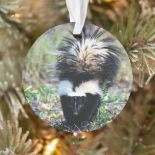 Schwarz und Weiß Ornament