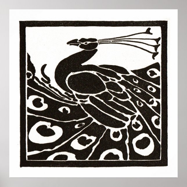 SCHWARZ UND WEISS POSTER (Vorne)