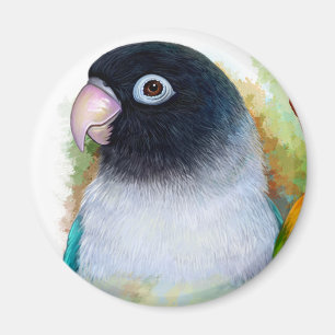 Schwarz-verdeckter Lovebird Magnet
