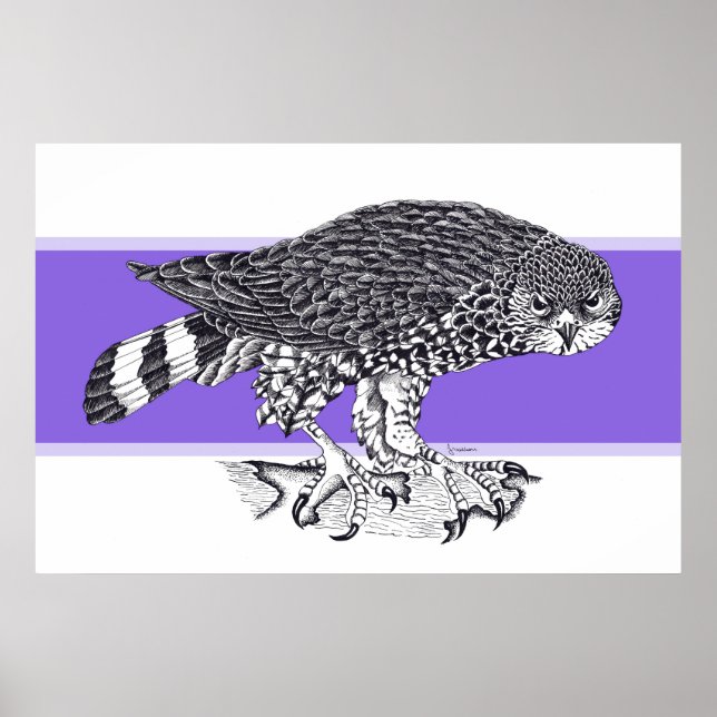 Schwarz-Weiß-Abbildung von Sparrow Hawk Poster (Vorne)