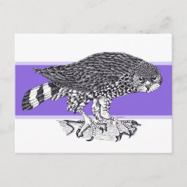 Schwarz-Weiß-Abbildung von Sparrow Hawk Postkarte