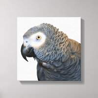 Schwarz-Weiß-Afrikanischer Grau-Papagei-Canvas dru