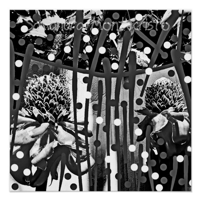 Schwarz-Weiß Ananas Blume DUO Glossy Poster (Vorderseite)