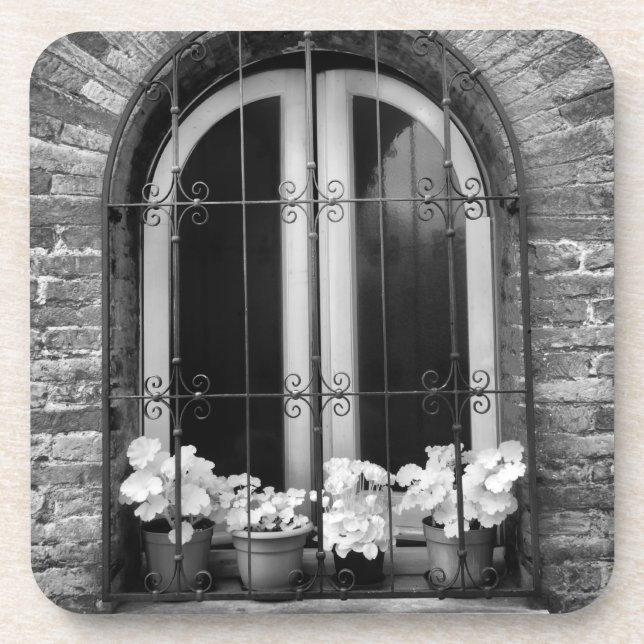 Schwarz-Weiß-Ansicht von Fenster- und Blume-Töpfen Getränkeuntersetzer (Vorderseite)