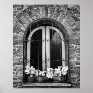 Schwarz-Weiß-Ansicht von Fenster- und Blume-Töpfen Poster