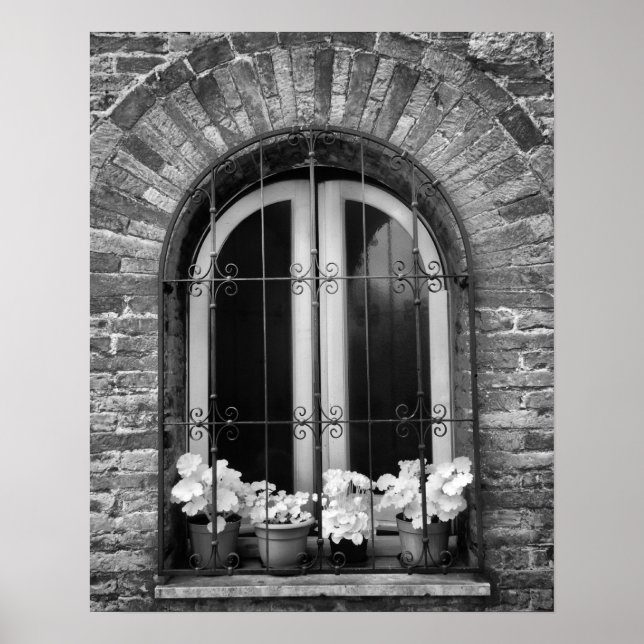 Schwarz-Weiß-Ansicht von Fenster- und Blume-Töpfen Poster (Vorne)
