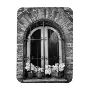 Schwarz-Weiß-Ansicht von Fenster und Blumenkübel Magnet
