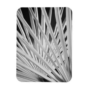 Schwarz-Weiß-Ansicht von Palmwedeln Magnet