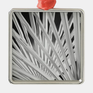 Schwarz-Weiß-Ansicht von Palmwedeln Silbernes Ornament