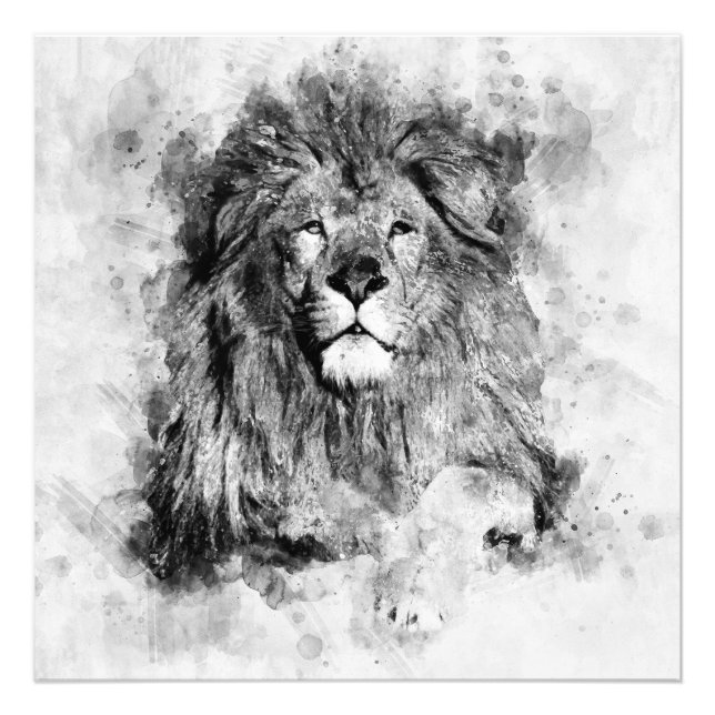 Schwarz-Weiß-Aquarellbild von männlichen Löwen Fotodruck (Vorne)