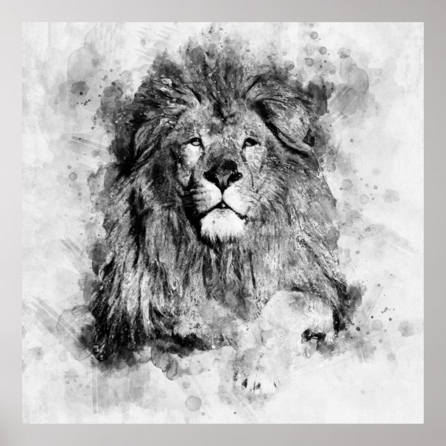 Schwarz-Weiß-Aquarellbild von männlichen Löwen Poster (Vorne)