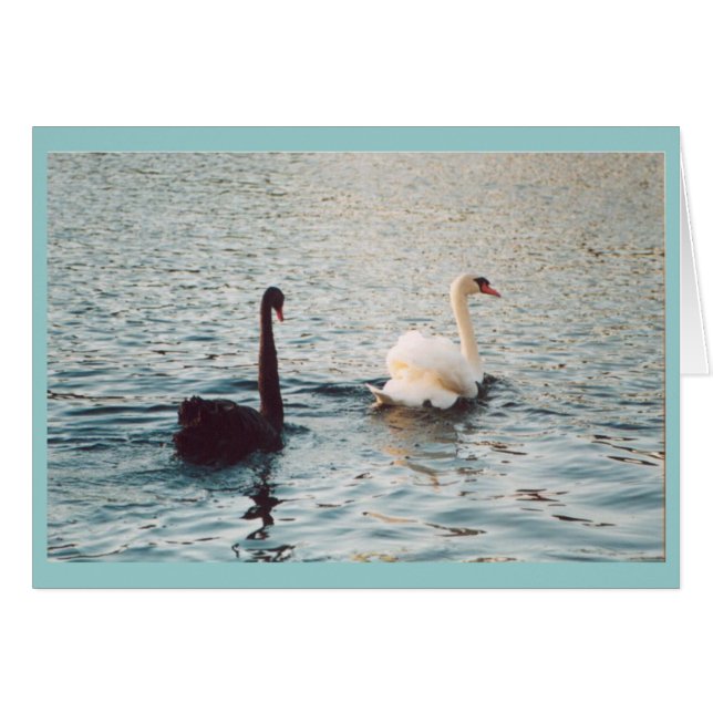 Schwarz-Weiß auf dem Rideau (Vorderseite (Horizontal))