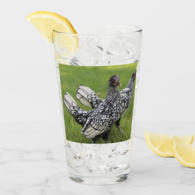 Schwarz-Weiß-Bantam-Hühnerkollektoren Getränke Glas (Vorderseite Ice)