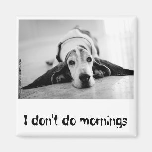 Schwarz-Weiß-Basset-Hound-Magnet Magnet
