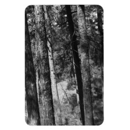 Schwarz-Weiß-Bäume überall Magnet