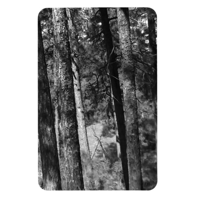 Schwarz-Weiß-Bäume überall Magnet (Vertikal)