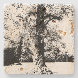 Schwarz-Weiß-Baumlandschaft Steinuntersetzer