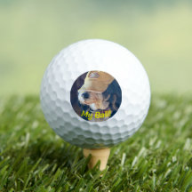 Schwarz & Weiß Bernedoodle Hund in gelber Golftasc
