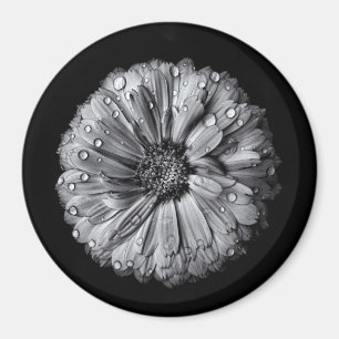 Schwarz-Weiß-Blume 10 Magnet