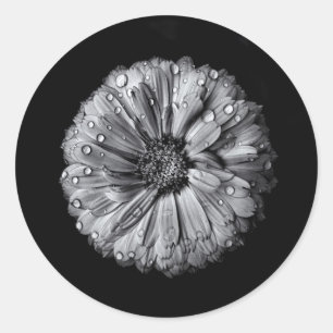 Schwarz-Weiß-Blume 10 Runder Aufkleber