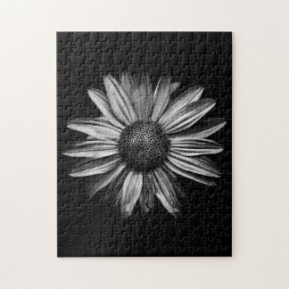 Schwarz-Weiß-Blume 18