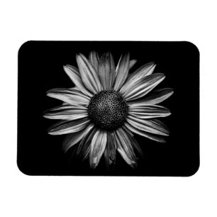 Schwarz-Weiß-Blume 18 Magnet