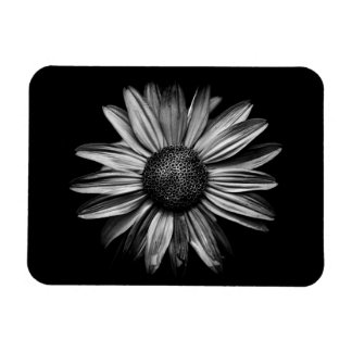 Schwarz-Weiß-Blume 18 Magnet