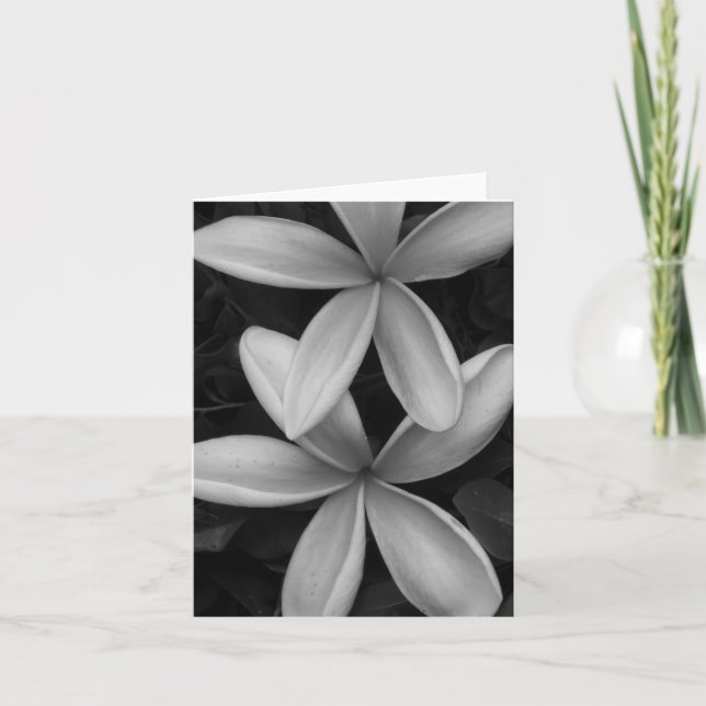 Schwarz-Weiß-Blume Faltkarte Karte (Vorderseite)