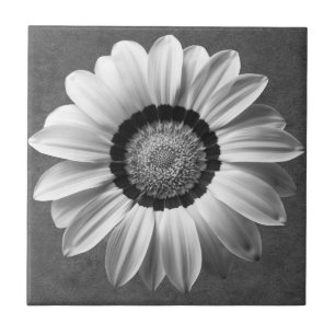 Schwarz-Weiß-Blume Fliese