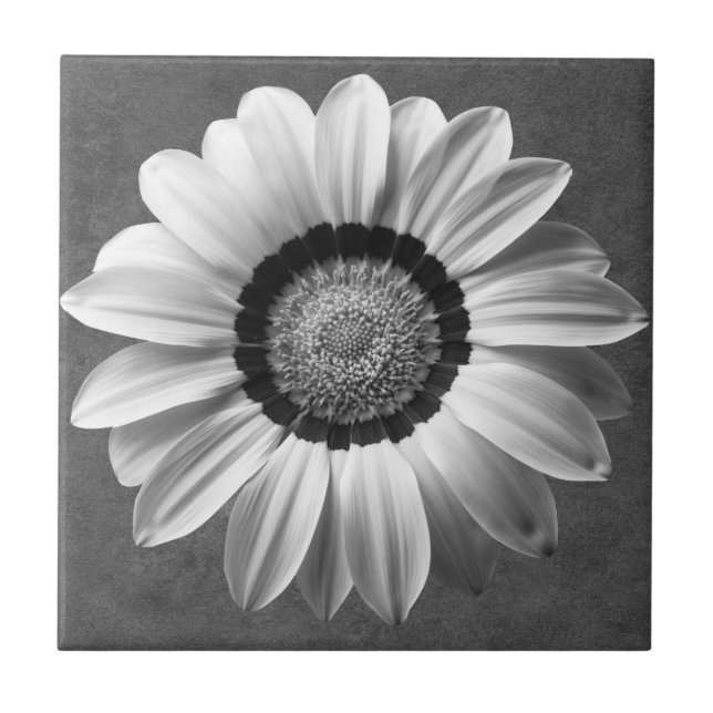 Schwarz-Weiß-Blume Fliese (Vorderseite)
