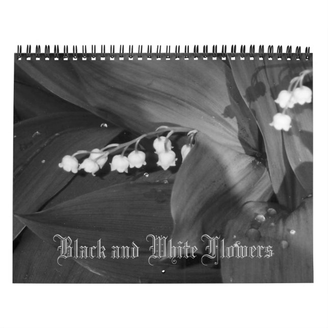 Schwarz-Weiß-Blume-Kalender Kalender (Titelbild)
