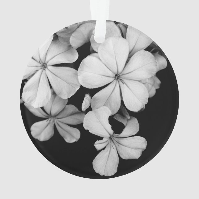 Schwarz-Weiß-Blume nah Ornament (Rückseite)