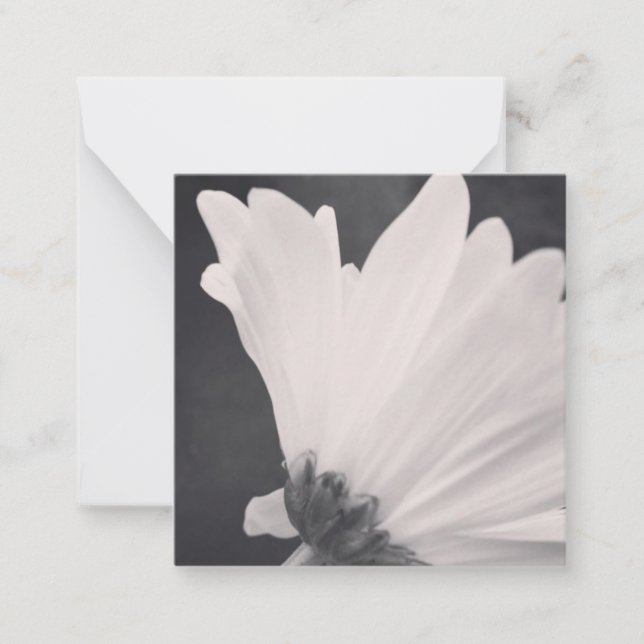 Schwarz-Weiß-Blume-Note-Karte mit Leerseite Mitteilungskarte (Vorderseite)