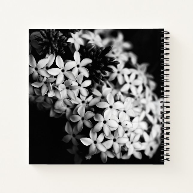 Schwarz-Weiß-Blume Notizbuch (Rückseite)