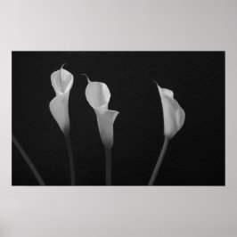 Schwarz-Weiß-Blume-Poster Poster