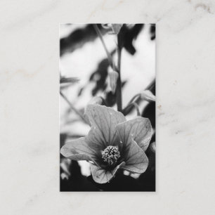 Schwarz-Weiß-Blumenfotografie Florist Visitenkarte