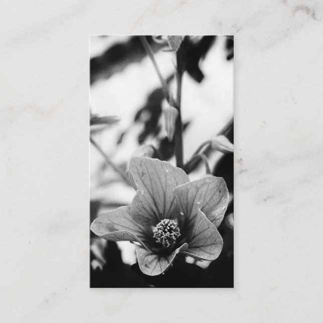 Schwarz-Weiß-Blumenfotografie Florist Visitenkarte (Vorderseite)
