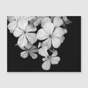 Schwarz-Weiß-Blumenfotografie Magnetkarte