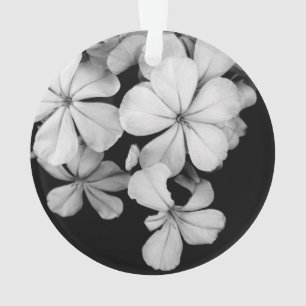 Schwarz-Weiß-Blumenfotografie Ornament