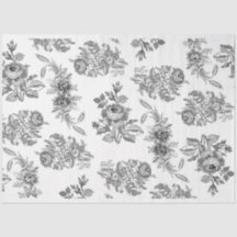 Schwarz-Weiß-Blumenzwiebelblatt