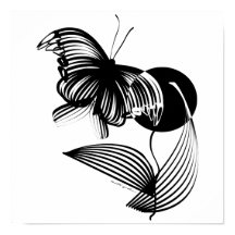 Schwarz-Weiß-Blüte mit Schmetterling