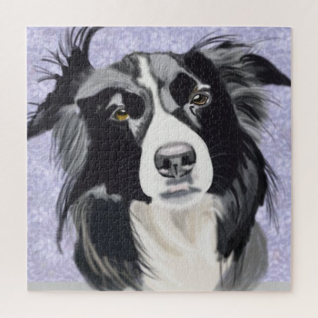 Schwarz-Weiß-Border-Collie (Vertikal)