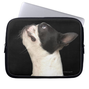 Schwarz-Weiß Boston Terrier blickt nach oben Laptopschutzhülle