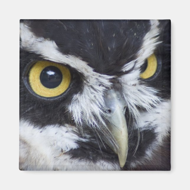 Schwarz-Weiß-Brille Magnet (Vorne)